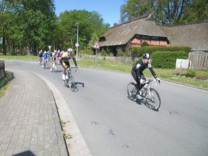 RTF Celle Rocky 41